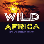 Wild Africa Font and Commercial License from SickCapital.com